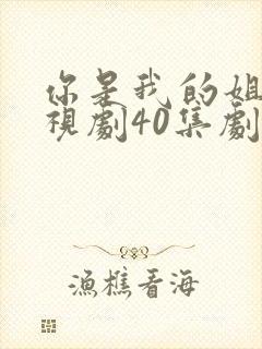 你是我的姐妹电视剧40集剧情封面