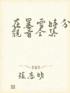 在暴雪时分免费观看全集