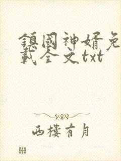 镇国神婿免费下载全文txt