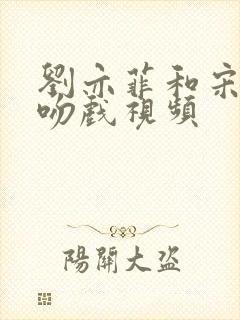 刘亦菲和宋承宪吻戏视频