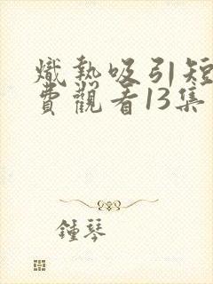 炽热吸引短剧免费观看13集