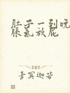 肚子一到晚上就胀气放屁