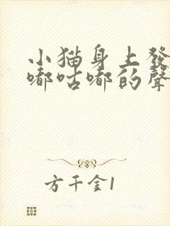 小猫身上发出咕嘟咕嘟的声音