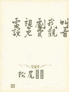 电视剧我叫刘传说免费观看