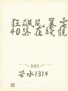 狂飙风暴电视剧40集在线观看免费