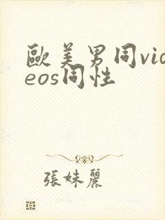 欧美男同videos同性