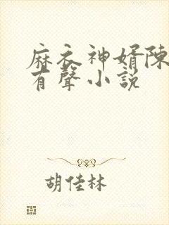 麻衣神婿陈黄皮有声小说封面