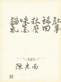 猫咪拉稀肚子胀气怎么回事