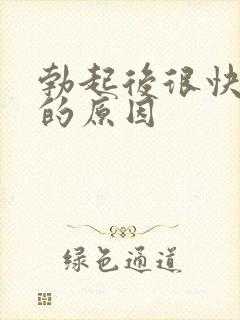 勃起后很快软了的原因