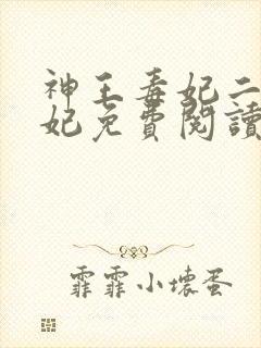 神王毒妃二嫁王妃免费阅读全文