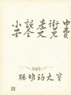 小说老街中的痞子全文免费阅读