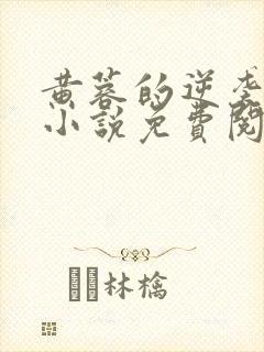 黄蓉的逆袭张妈小说免费阅读