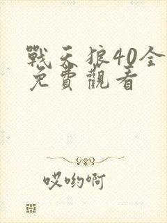 战天狼40全集免费观看封面