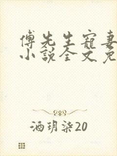 傅先生宠妻无度小说全文免费阅读封面