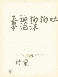 泰迪狗狗吐黄水带泡沫