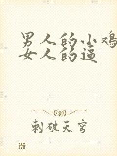 男人的小鸡鸡插女人的逼