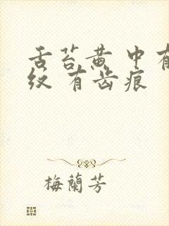 舌苔黄 中有裂纹 有齿痕