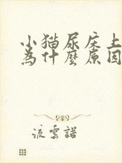 小猫尿床上是因为什么原因