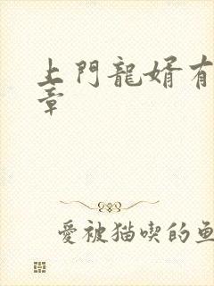 上门龙婿有多少章