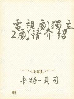 电视剧独立纵队2剧情介绍