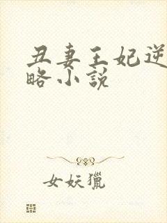 丑妻王妃逆袭攻略小说