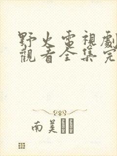 野火电视剧免费观看全集完整版