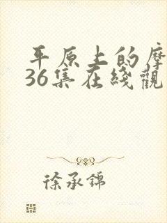 平原上的摩西第36集在线观看免费完整版