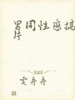 男同性恋搞基毛片