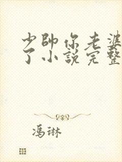 少帅你老婆又跑了小说完整免费