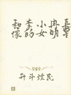 和李小冉长得很像的女明星封面