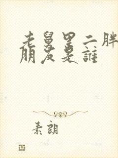 老舅里二胖的女朋友是谁