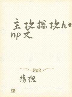 主攻总攻h啪肉np文封面