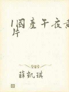 1国产午夜黄色片