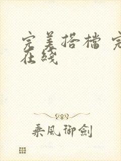 完美搭档 完整在线