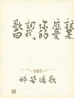 歌词你应该会明白我的爱是什么歌