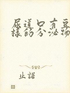 尿道口有豆腐渣样的分泌物