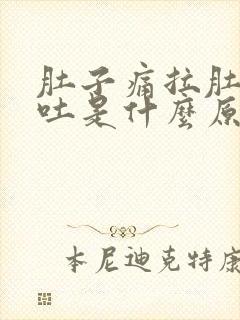 肚子痛拉肚子呕吐是什么原因封面