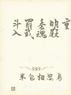 斗罗秦明重生加入武魂殿