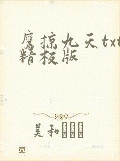 鹰掠九天txt精校版