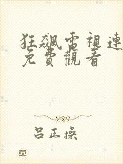 狂飙电视连续剧免费观看封面