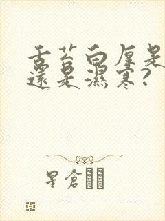 舌苔白厚是湿热还是湿寒?