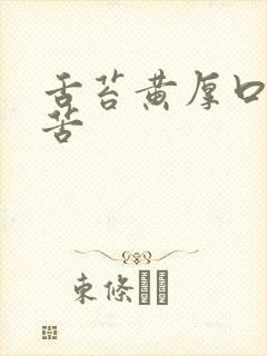 舌苔黄厚口干口苦