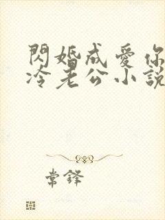 闪婚成爱你好高冷老公小说