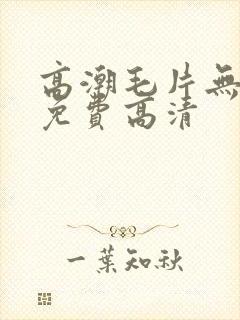 高潮毛片无遮挡免费高清