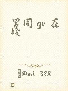 男同 gv 在线