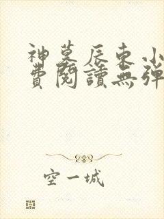 神墓辰东小说免费阅读无弹窗