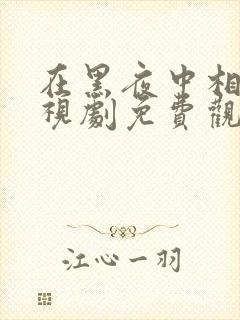 在黑夜中相拥电视剧免费观看完整版