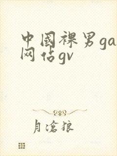 中国裸男gay网站gv