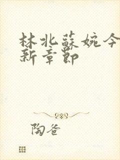 林北苏婉今天最新章节