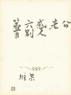 第六感老公心里有别人